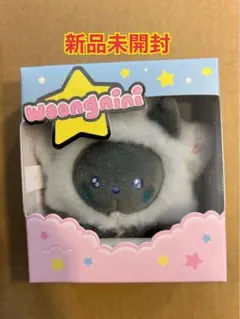 公式　zeroni ぬいぐるみ　キーリング　星　マシュー 公式 zeroni ぬいぐるみ キーリング 星 マシュー - メルカリ