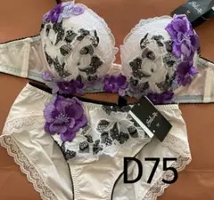 サルート【日本の花嫁】B65&ソングM IV 03 - メルカリ