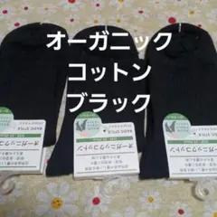 Item thumbnail for item 77cd093b-e6c0-447a-8781-a7db830503ce