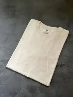 パタゴニア　オーガニックコットン　生成り色　USA 製