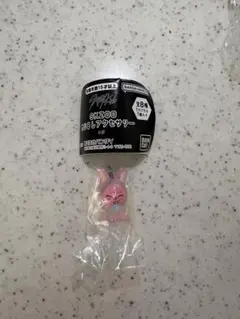 SKZOO めじるしアクセサリー　トゥエッキ