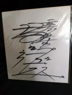 2026年最新】新日本プロレス サイン色紙の人気アイテム - メルカリ