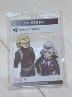 Dr.STONE サーカス アクリルバッジ スタンリー ゼノ 千空 アニメイト