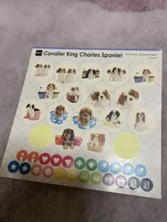 Item thumbnail for item b6b8ce6e-9530-493e-b926-9be8445424eb