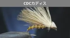 Item thumbnail for item ee8bf825-ff3c-42b5-9621-dc367ea36fa0