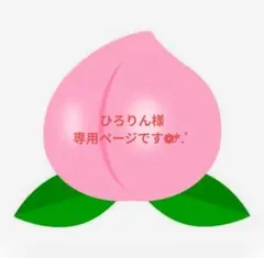 ひろりん様専用ページです❁⃘*.゜