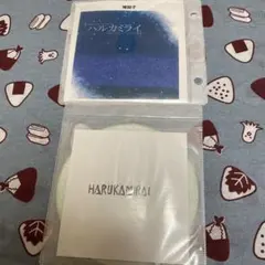 ハルカミライ 邦楽