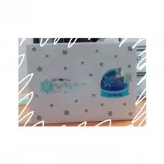 ＊SNOW DOME の約束＊ DVD