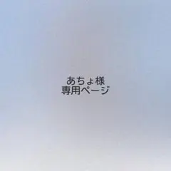 あちょ様 オーダーページ