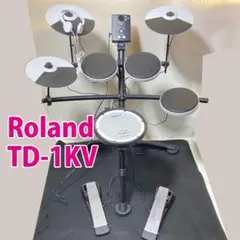 2026年最新】ROLAND TD-1KVの人気アイテム - メルカリ