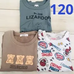 子供服　男の子　トップス　トレーナー　まとめ売り　3点セット　ポケモン　120