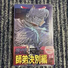 Item thumbnail for item 8222db9f-39de-4e1c-9221-8e1ea4419a3e