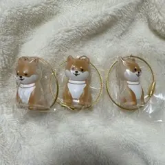 ワンコのタイムカプセル　3個セット　まめ　柴犬