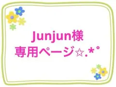 Junjun様専用ページ✩.*˚