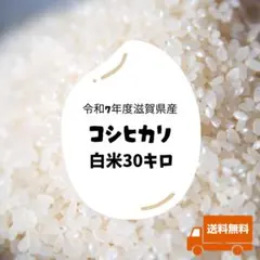 農家直送！令和7年度滋賀県産コシヒカリ玄米30kg 送料無料（一部地域
