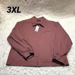 Item thumbnail for item bfbbc2ce-26f6-4f17-98ae-f839a452acd2