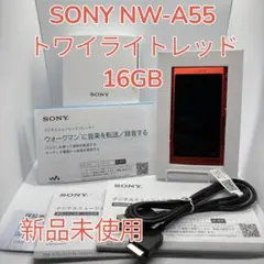 【ほぼ未使用】SONYウォークマン NW-A55 16GB トワイライトレッド