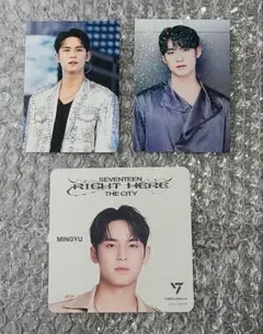 SEVENTEEN ミンギュセット