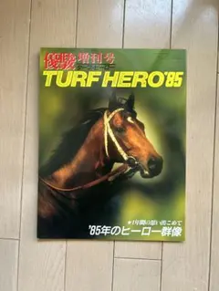 Item thumbnail for item 28e9a459-78af-46f6-aa7e-d7b4452a2ba8