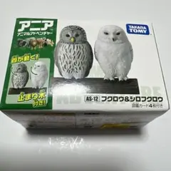 Item thumbnail for item 0a27e3d6-a8f5-40c9-a280-76303bc4507c