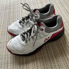 Item thumbnail for item 7f95db7d-7e77-4f74-888a-5295e67d545f