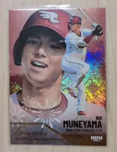 Item thumbnail for item ca7d7546-de24-47cf-85e7-570fe46f096a