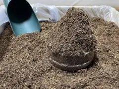 2026年最新】ココピートの人気アイテム - メルカリ