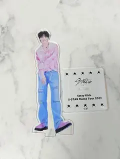 Straykids スキズ アイエン I.N アクスタ 5star