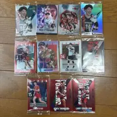 の*む様 バレーボール トレーディングカード 10枚セット