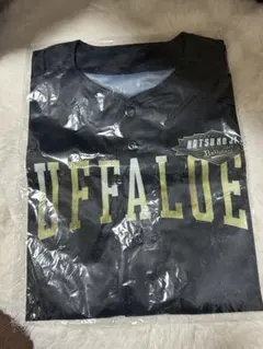 Item thumbnail for item 69c285b1-d604-4276-badd-ba85161b28f6