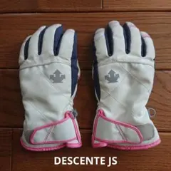 スキーグローブ