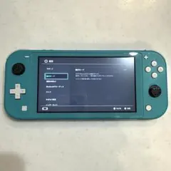 【動作確認済み】Switch Lite ターコイズ　箱無し