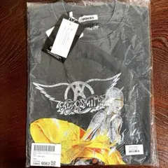 AEROSMITH 半袖 カットソー ダークグレー　Lのサムネイル