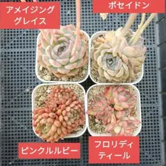 にゃろ☆プロフ読んでね☆様 リクエスト 3点 まとめ商品