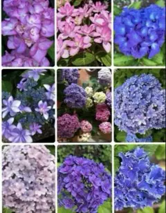 みみりきはる様 リクエスト 2点 まとめ商品