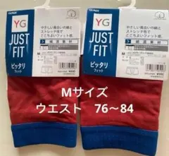 最安値‼️ 新品タグ付き GUNZE ボクサーブリーフ(前あき)M 2枚セット綿