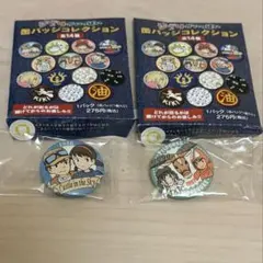 ジブリ 缶バッジ