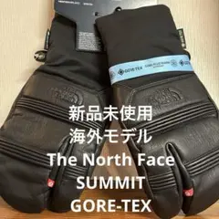 ノースフェイス　Summit Patrol GTX Trigger Mitten