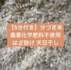 残り僅か】はぜ掛け天日干し あさひの夢 白米10kg 農薬不使用 長野県産