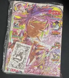 ジャンプSQ. RISE アニメイト特典ミニカード D.Gray-man アレン - メルカリ