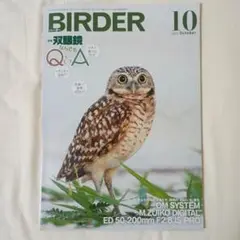BIRDER 2025年10月号