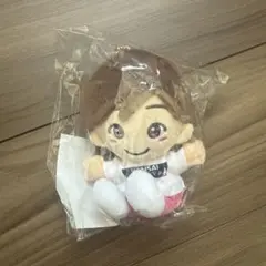 栃木シティ 田中パウロ淳一 パウちゃんぬいぐるみ 新品未開封 - メルカリ