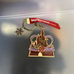 東京ディズニーランド キーホルダー