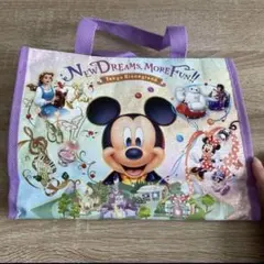 ディズニー　ディズニーランド　トートバッグ　ニュードリームモアファン　ミニバッグ