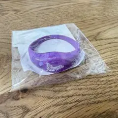 ヒプノシスマイク シンジュク リングライト LEDリストバンド ヒプノシスマイク シンジュク リングライト LEDリストバンド