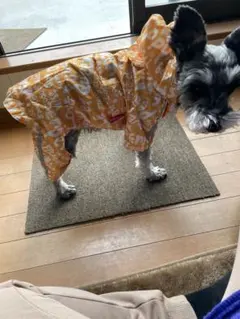 オレンジ色ロゴ入り小型犬用レインコート