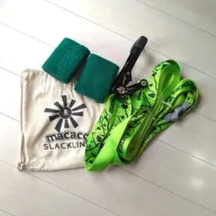 Item thumbnail for item 118769bd-c70c-408a-99ed-1acf4baf299c