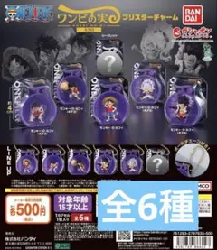 ワンピの実ミクロブリスターチャーム 全6種　コンプリート①