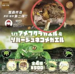 1/1 アメフクラガエル&リバージュネコメガエル 蟹蟲修造 ガチャ
