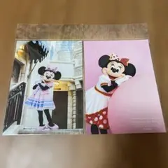 東京ディズニーリゾート イマジニングザマジック ミニー　写真　2枚セット